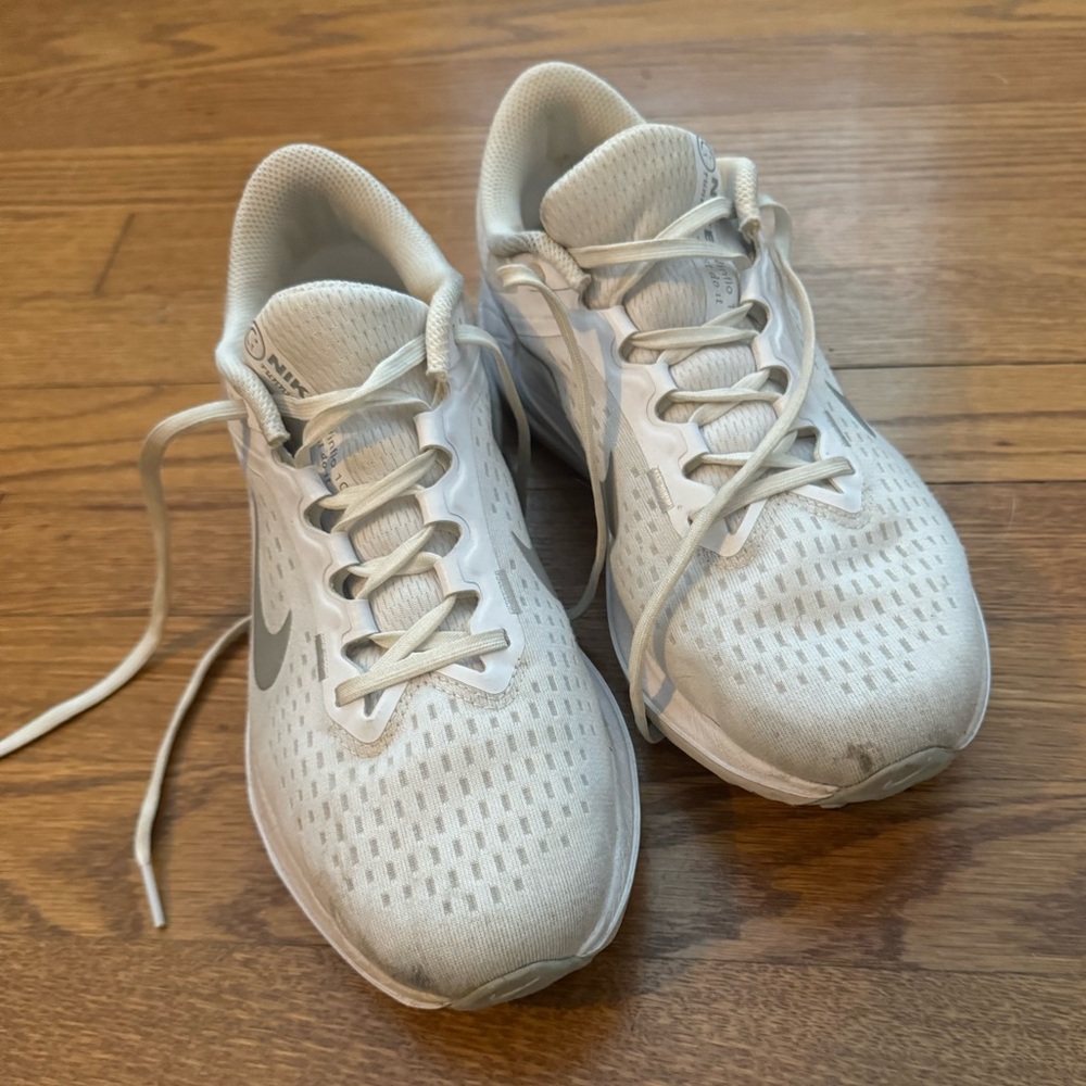 Nike Winflo 10